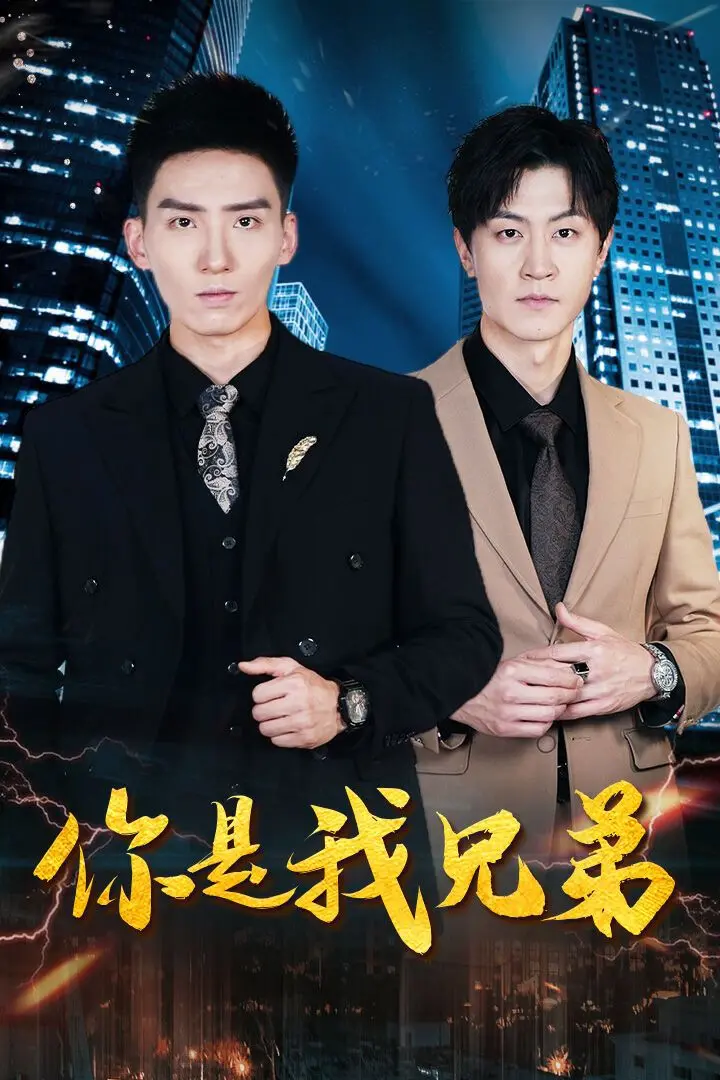 《你是我兄弟》：亲情羁绊与命运纠葛，感人至深的兄弟情