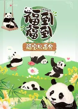 《福到福到福宝见面会》：熊猫顶流福宝空降！萌化你的心，独家揭秘见面会台前幕后！